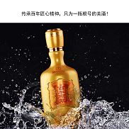 永丰牌北京二锅头百年金奖纪念酒500ml