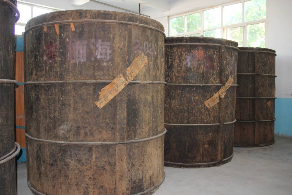 泥坑"净雅香",一颗名酒新星正冉冉升空 - 食业头条_糖酒食品行业_食业