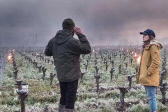 法国多地遭受风暴袭击，葡萄酒产区受损严重