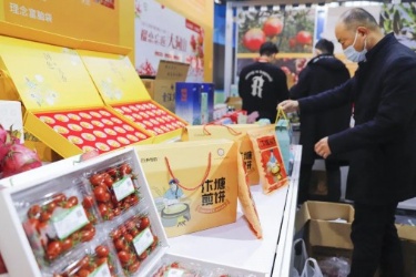 徐州农产品区域公用品牌“农香徐来”发布