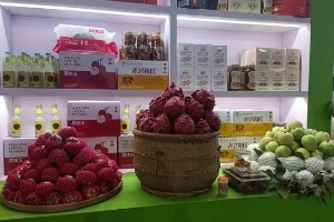海口发布农产品区域公用品牌“椰城香见”