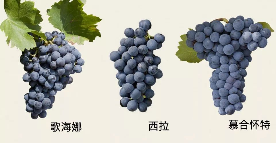 专家口中的GSM混酿到底是什么?