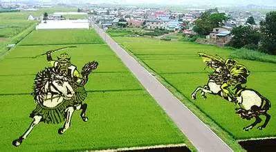 日本农业为什么能走在世界农业前沿？