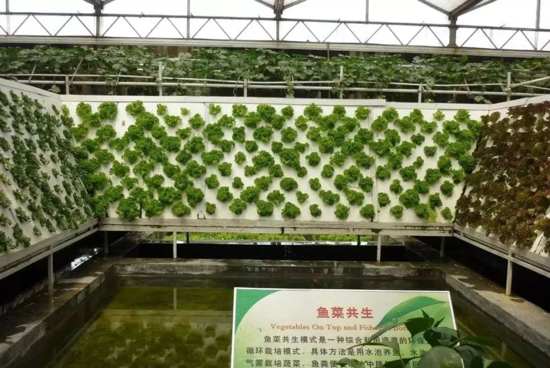 涨知识了！！这就是现代农业！