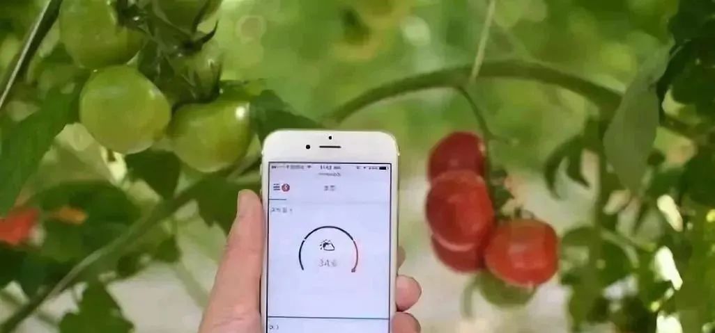 涨知识了！！这就是现代农业！