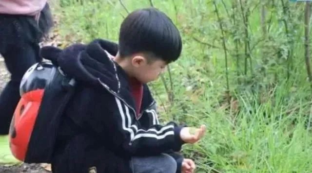 农业投资需要小而精，快来拓展你的经营思路！