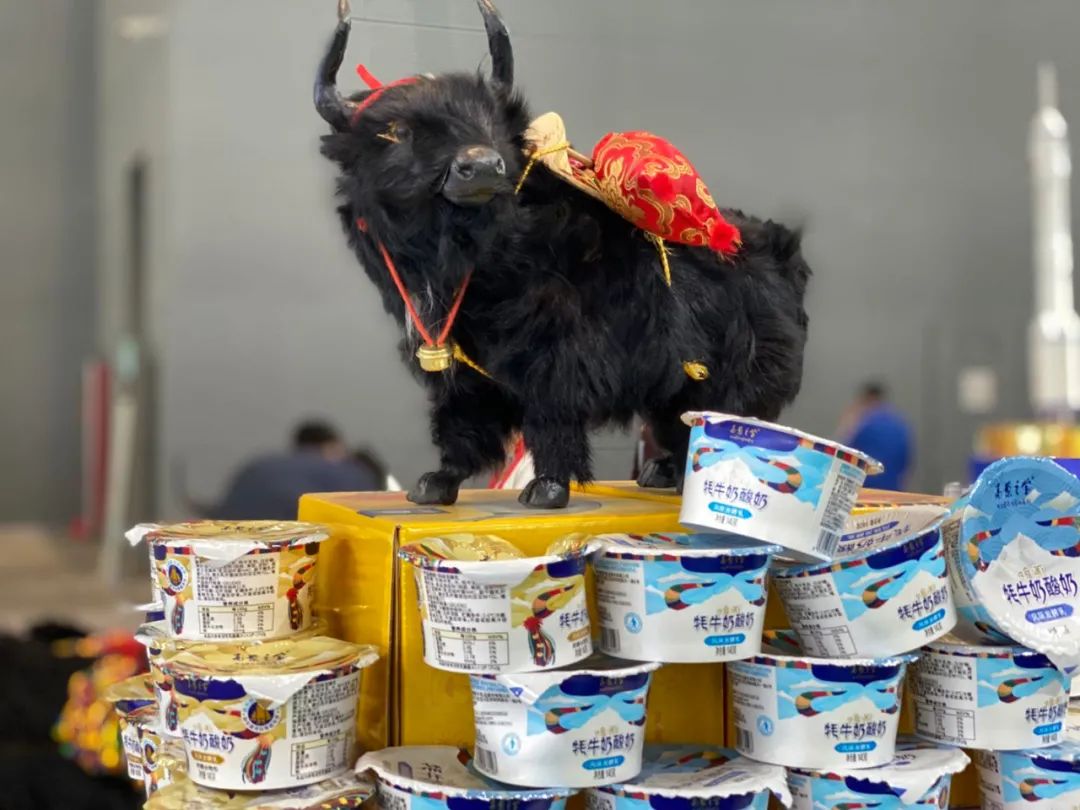 点赞!中国奶业最强天团!!