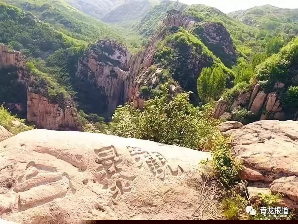 通过乡村旅游推动农业发展，秦皇岛青龙、邢台威县、衡水等地的做法值得借鉴！