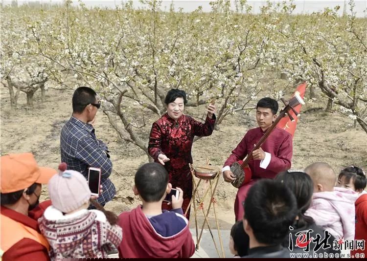 通过乡村旅游推动农业发展，秦皇岛青龙、邢台威县、衡水等地的做法值得借鉴！