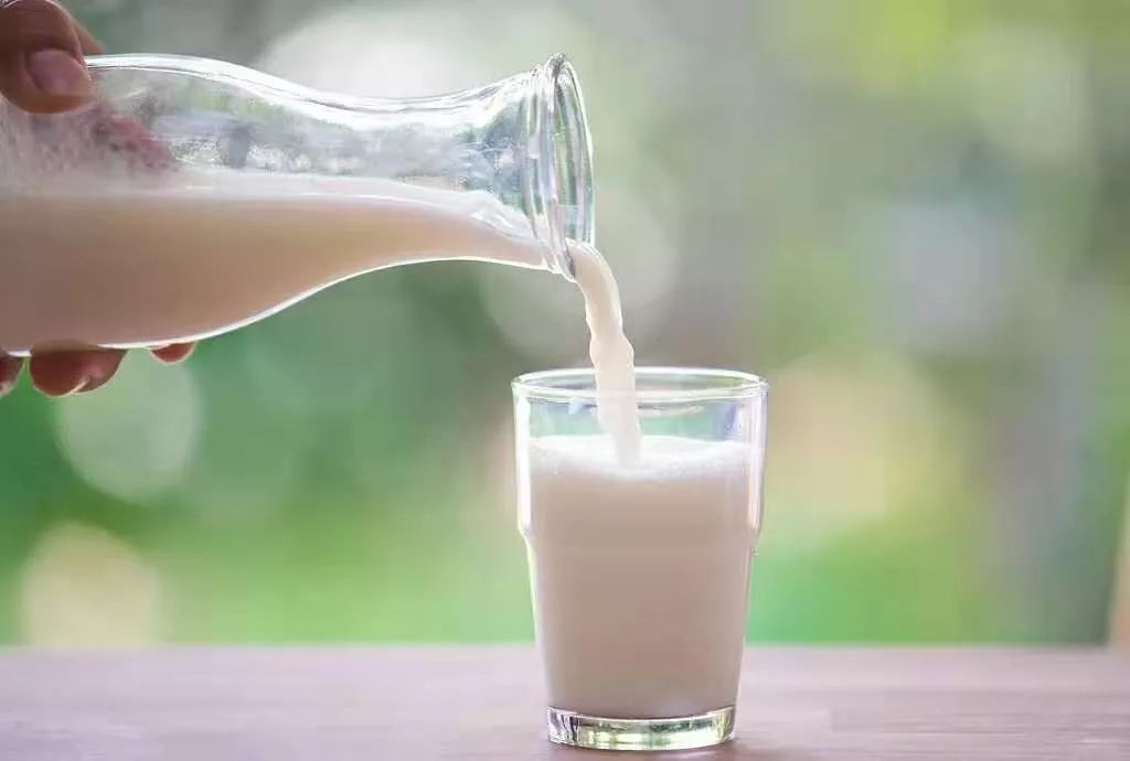 鲜奶市场不断扩大,乳企该在哪些方面发力?