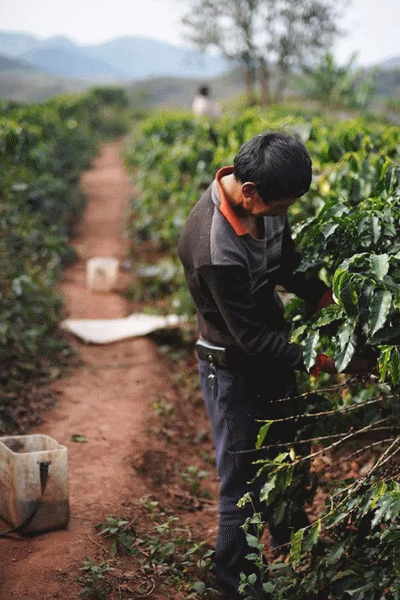 震撼！中国农业，远比你想象的更厉害
