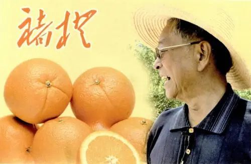 透过螺蛳粉看果业:螺蛳粉又上热搜,给果业带来哪些启示?
