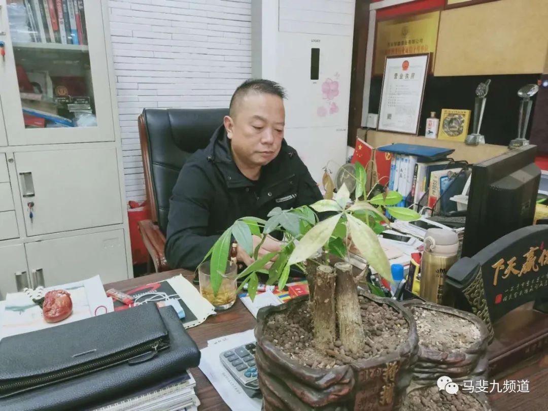 封坛西凤酒2020年2亿目标胜券在握？看看经销商怎么说