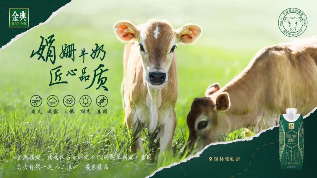 销售目标30亿！伊利与天猫战略合作，力推这款产品！
