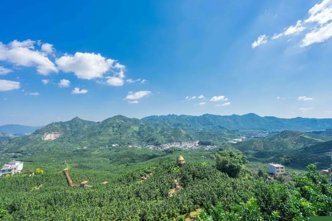从销售难到一年卖出1000万斤，这位果业人是怎么做到的？