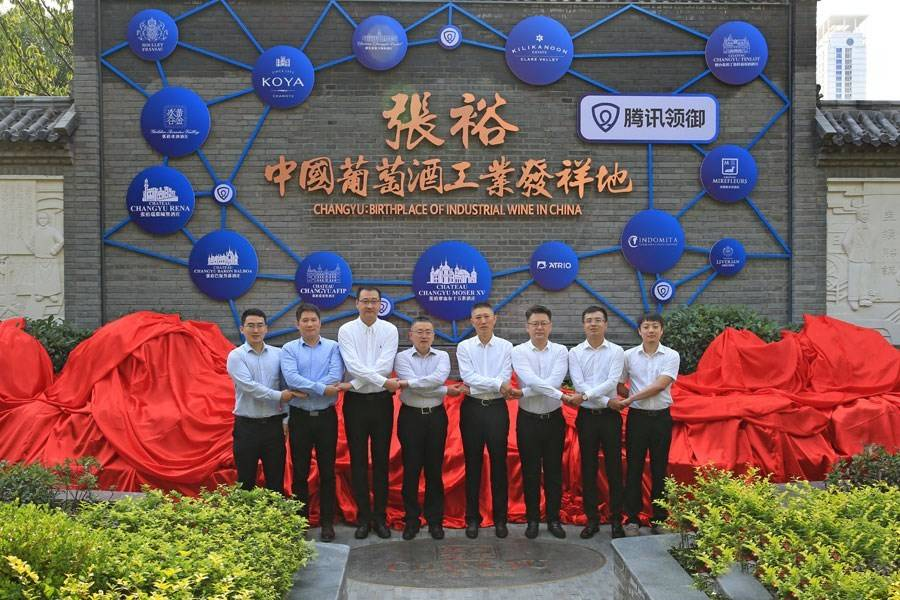 张裕孙健:中国葡萄酒市场大阳线显现