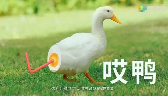 老字号不“老”！老字号食品破圈的八大打法