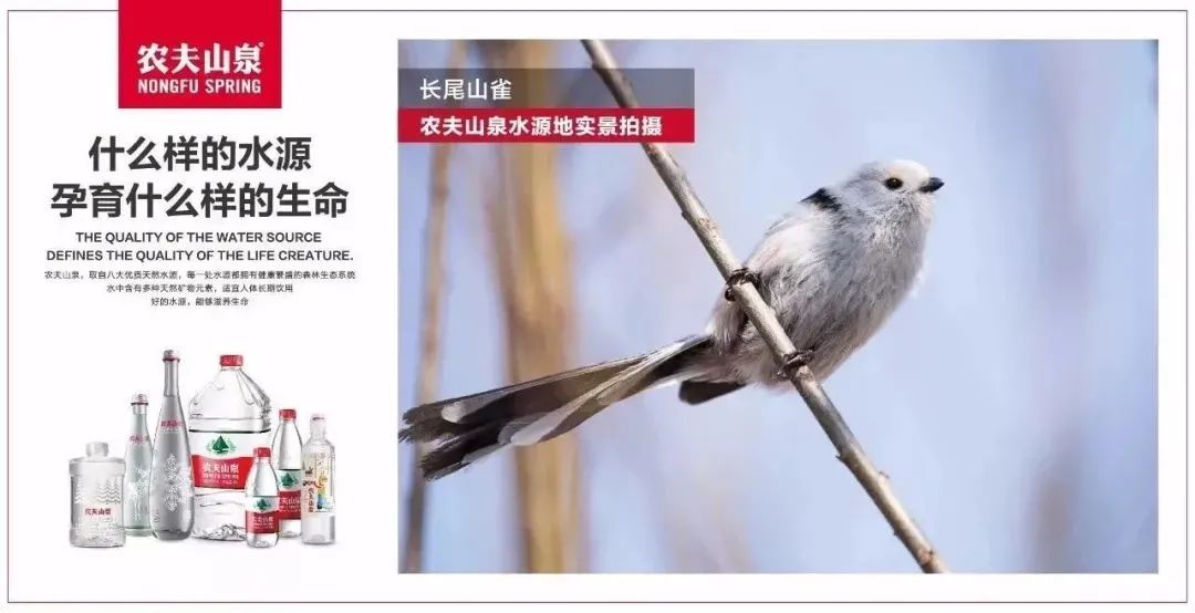 从大自然的“搬运工”到“印钞机”，农夫山泉做对了什么？