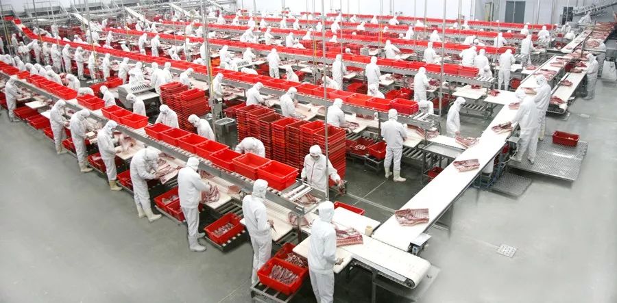 猪肉教父:80岁高龄日赚千万,控制美国25%市场!