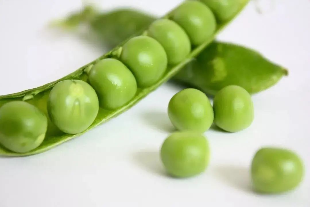 豌豆蛋白、姜黄、益生菌,食品饮料创新元素