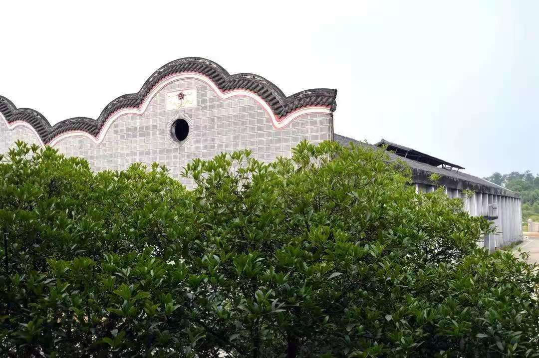 全兴,名酒复兴启示录