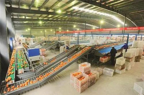 农业农村部:力争到2025年农产品加工转化率提高到80%