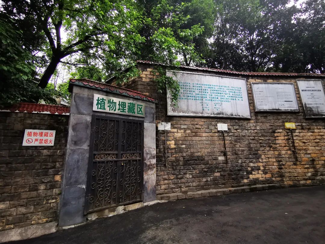 酱酒重磅:梁明锋与杨光“秘密”接触!!!