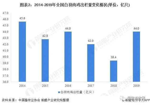 2020年中国禽类养殖行业发展现状分析 鸡类养殖规模优势明显