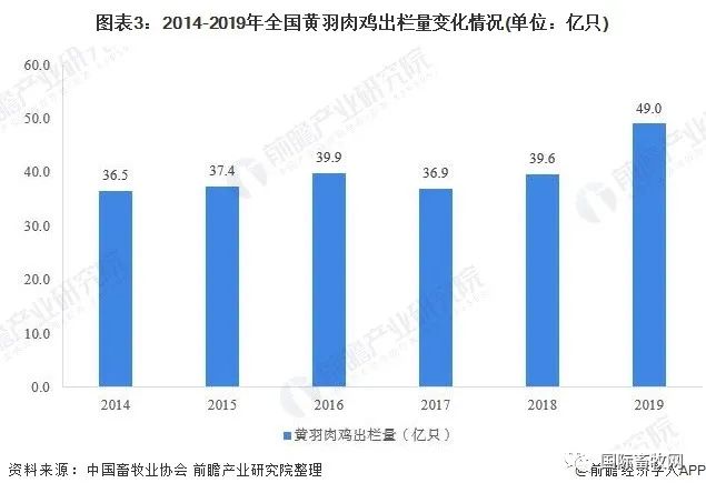 2020年中国禽类养殖行业发展现状分析 鸡类养殖规模优势明显