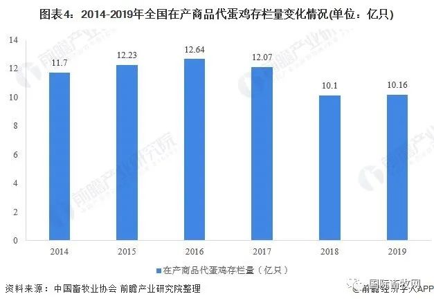 2020年中国禽类养殖行业发展现状分析 鸡类养殖规模优势明显