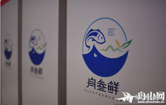 张正:深度点评丽水山耕式的全域全品类模式