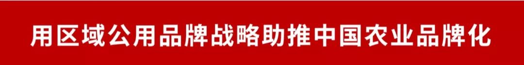 武胜大雅柑惊艳亮相“农交会”
