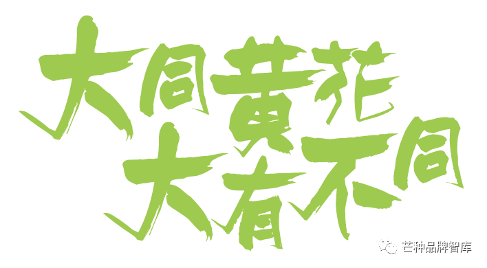 异彩绽放的大同黄花丨芒种解读