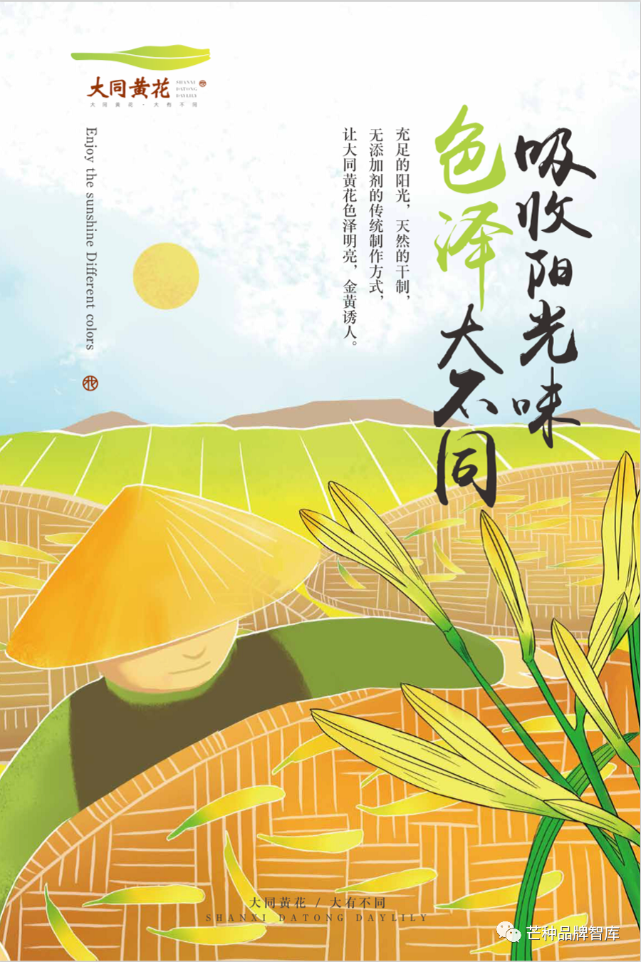 异彩绽放的大同黄花丨芒种解读