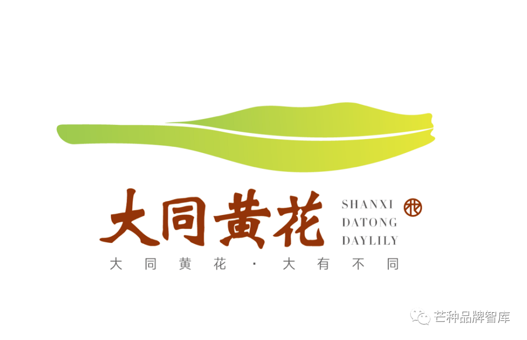 异彩绽放的大同黄花丨芒种解读
