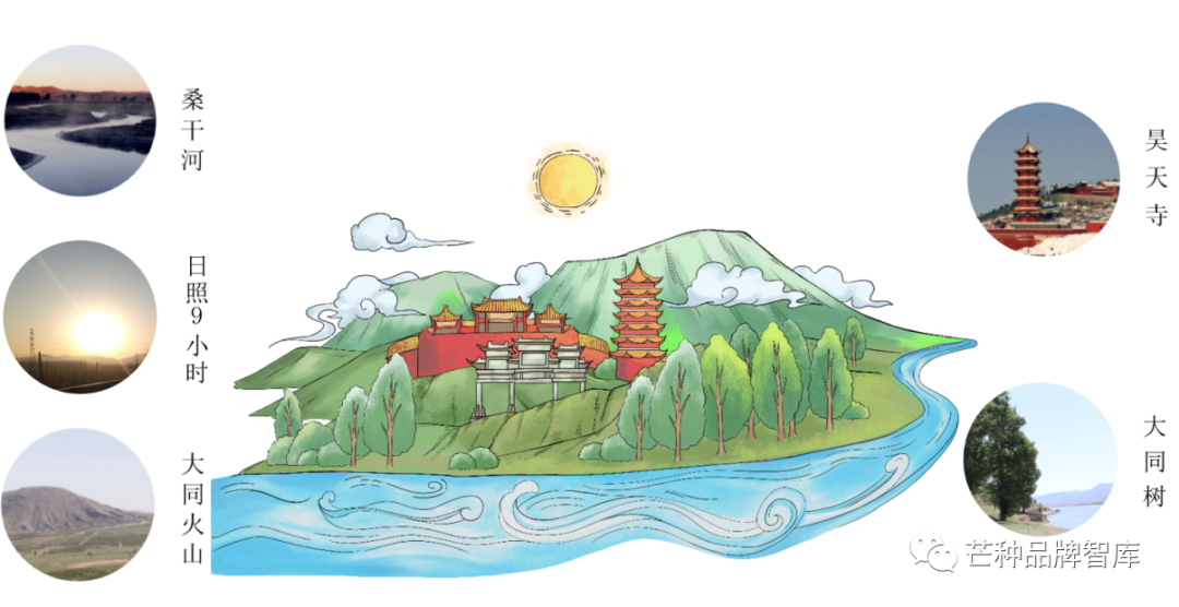 异彩绽放的大同黄花丨芒种解读