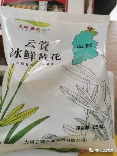异彩绽放的大同黄花丨芒种解读