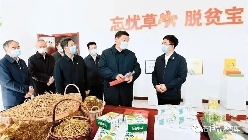 异彩绽放的大同黄花丨芒种解读