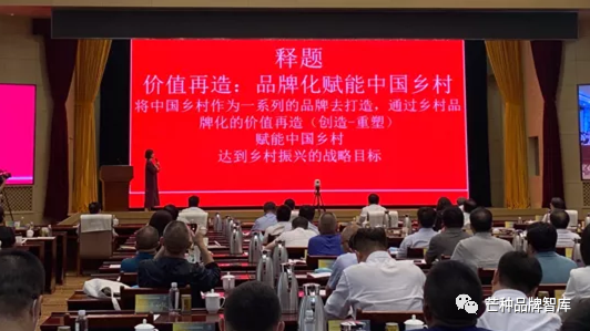异彩绽放的大同黄花丨芒种解读