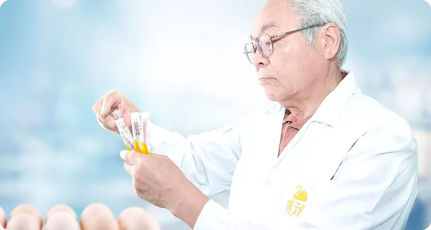 发掘鸡蛋本身的美好 重新定义“一枚好蛋”