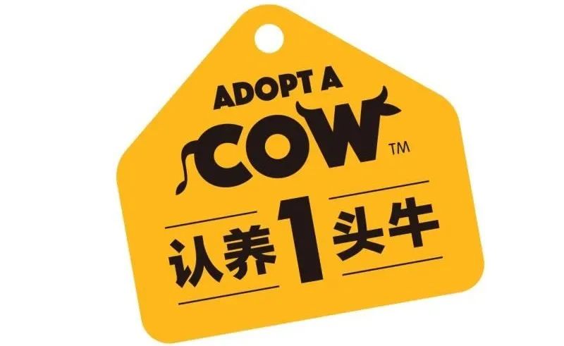 重磅！“2020中国乳业新势力企业”榜单发布！