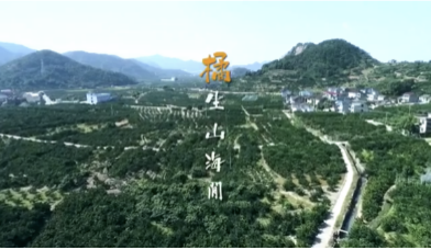 微信图片_20201203143948.png 地标品牌专题丨象山柑橘:生于山海间的“富民果”