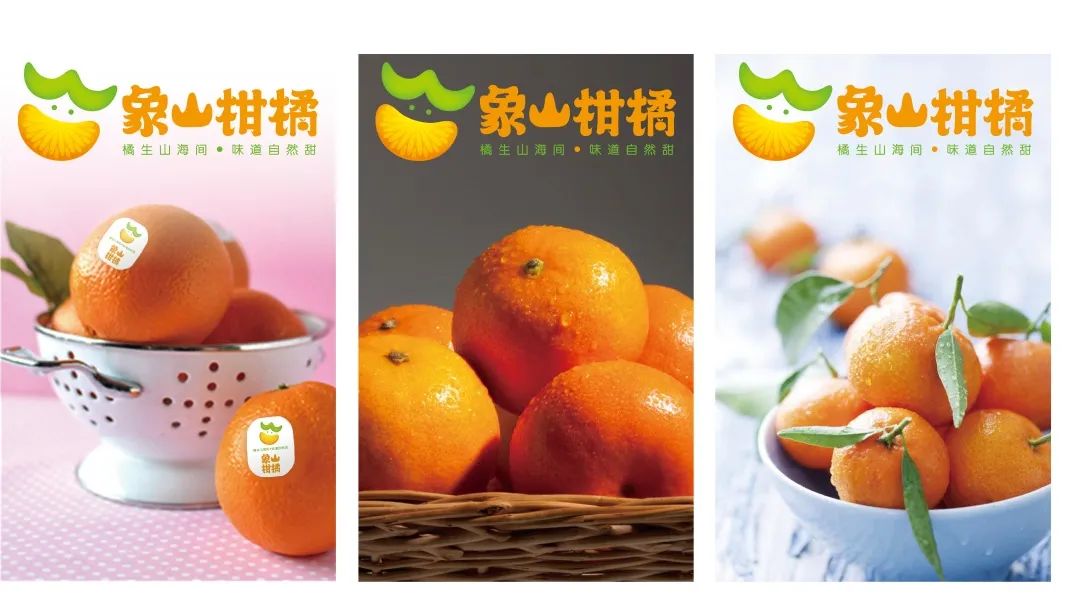 地标品牌专题丨象山柑橘:生于山海间的“富民果”