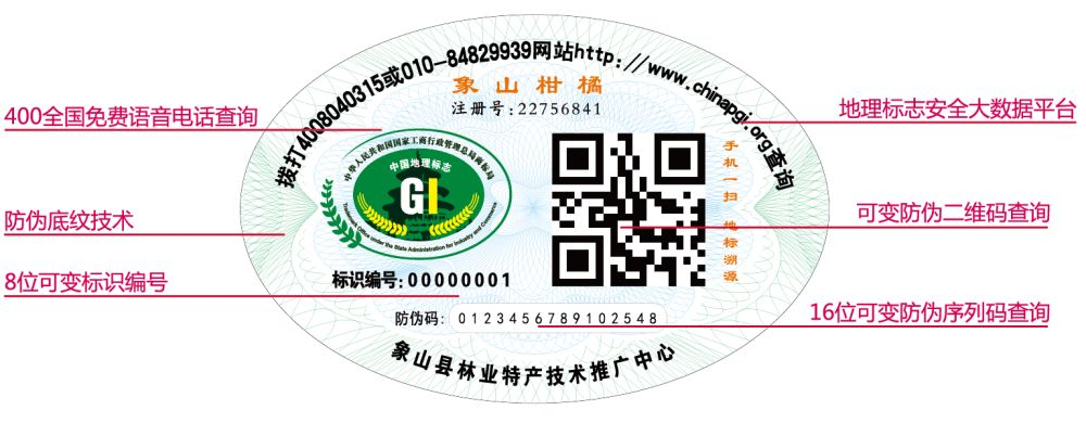 地标品牌专题丨象山柑橘:生于山海间的“富民果”