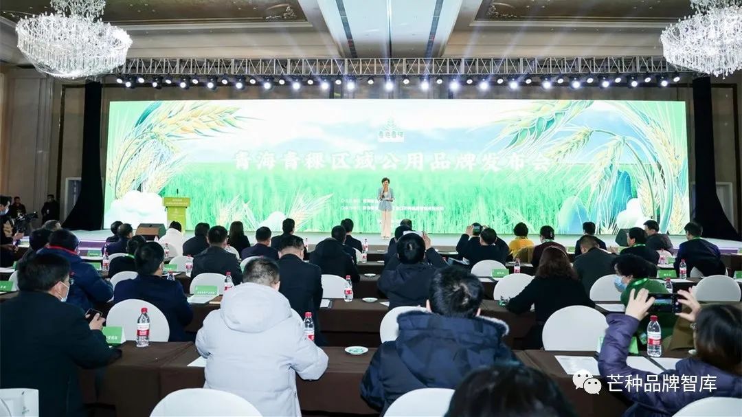 芒种直击丨青海青稞区域公用品牌发布会正式举行