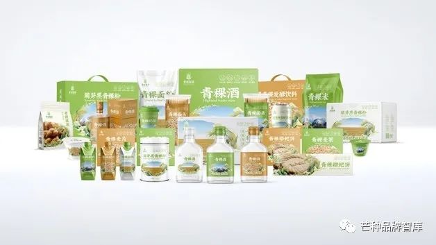 芒种直击丨青海青稞区域公用品牌发布会正式举行