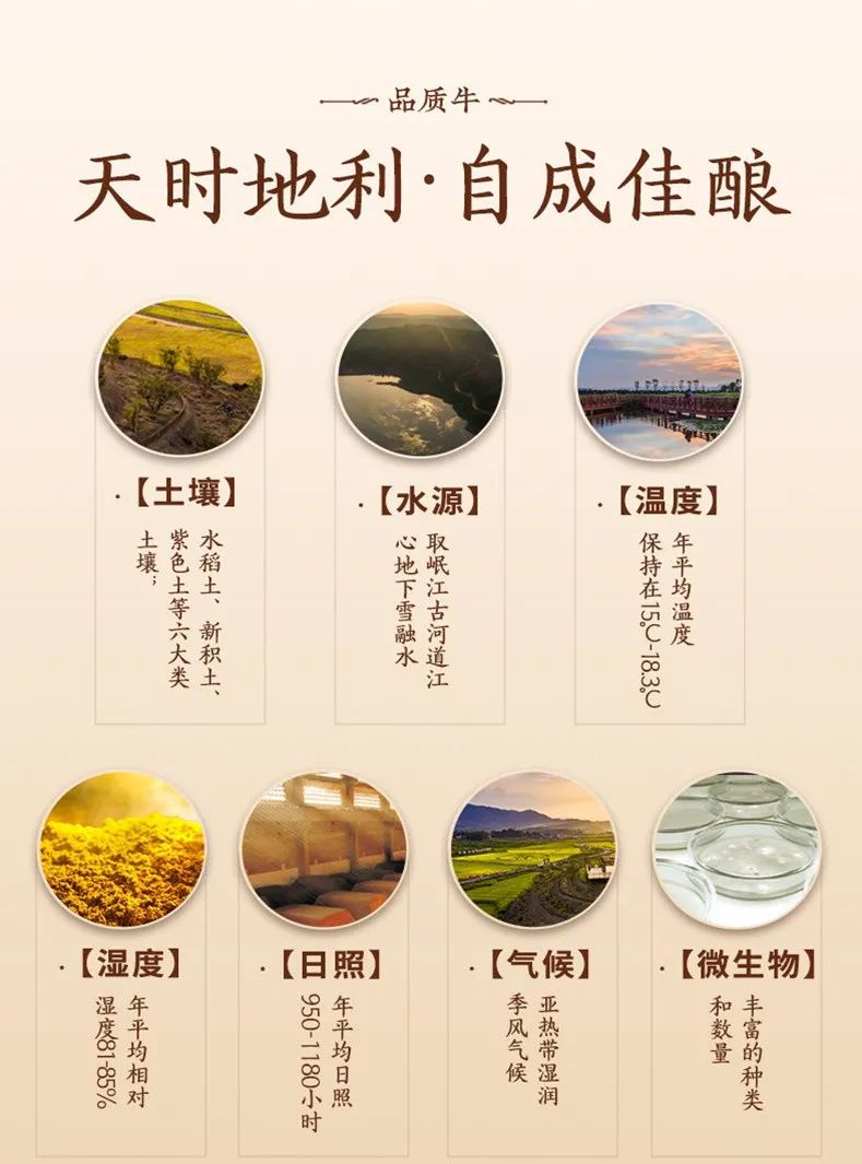 火热开抢！五粮浓香首款生肖酒打响2021“金牛攻势”