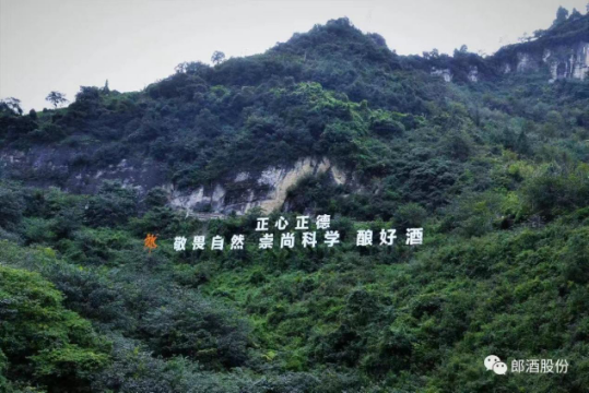 那些正在走出洞外的郎酒高端定制酒