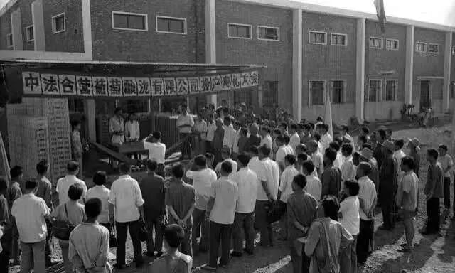 王朝40年系列报道 | 精耕40载，王朝打造“天津”名片