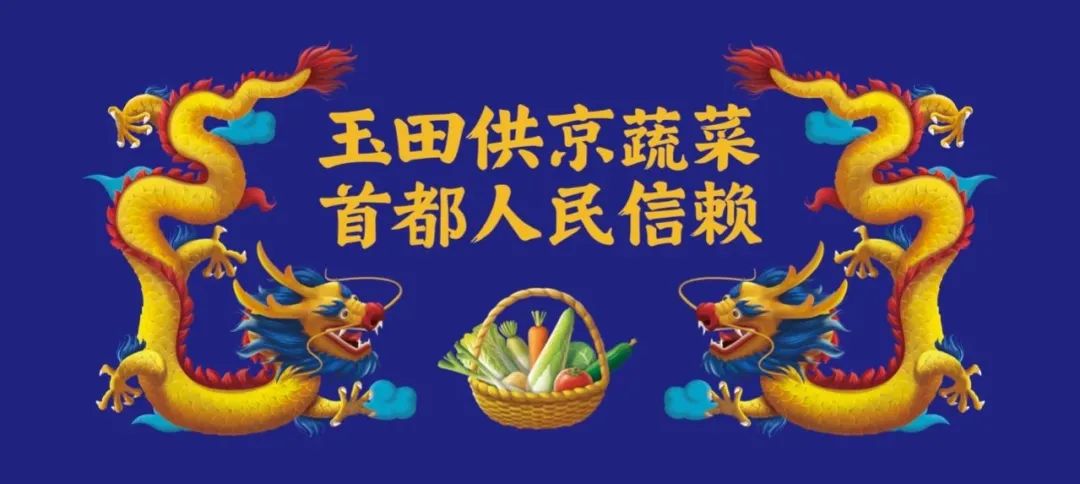 农本咨询贾枭：“四句话”解读“玉田供京蔬菜”品牌战略